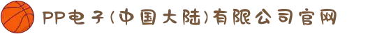 PP电子(中国大陆)有限公司官网"